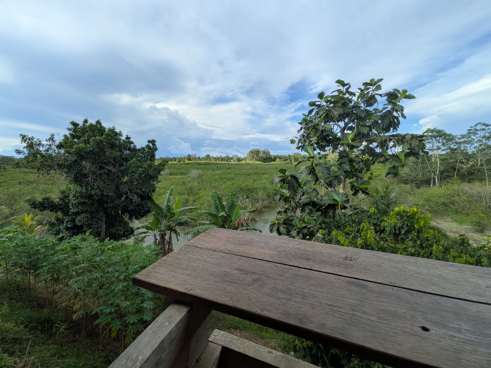 Rest area at Florido Amazon