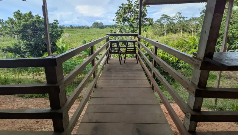 Florido Amazon hammock area