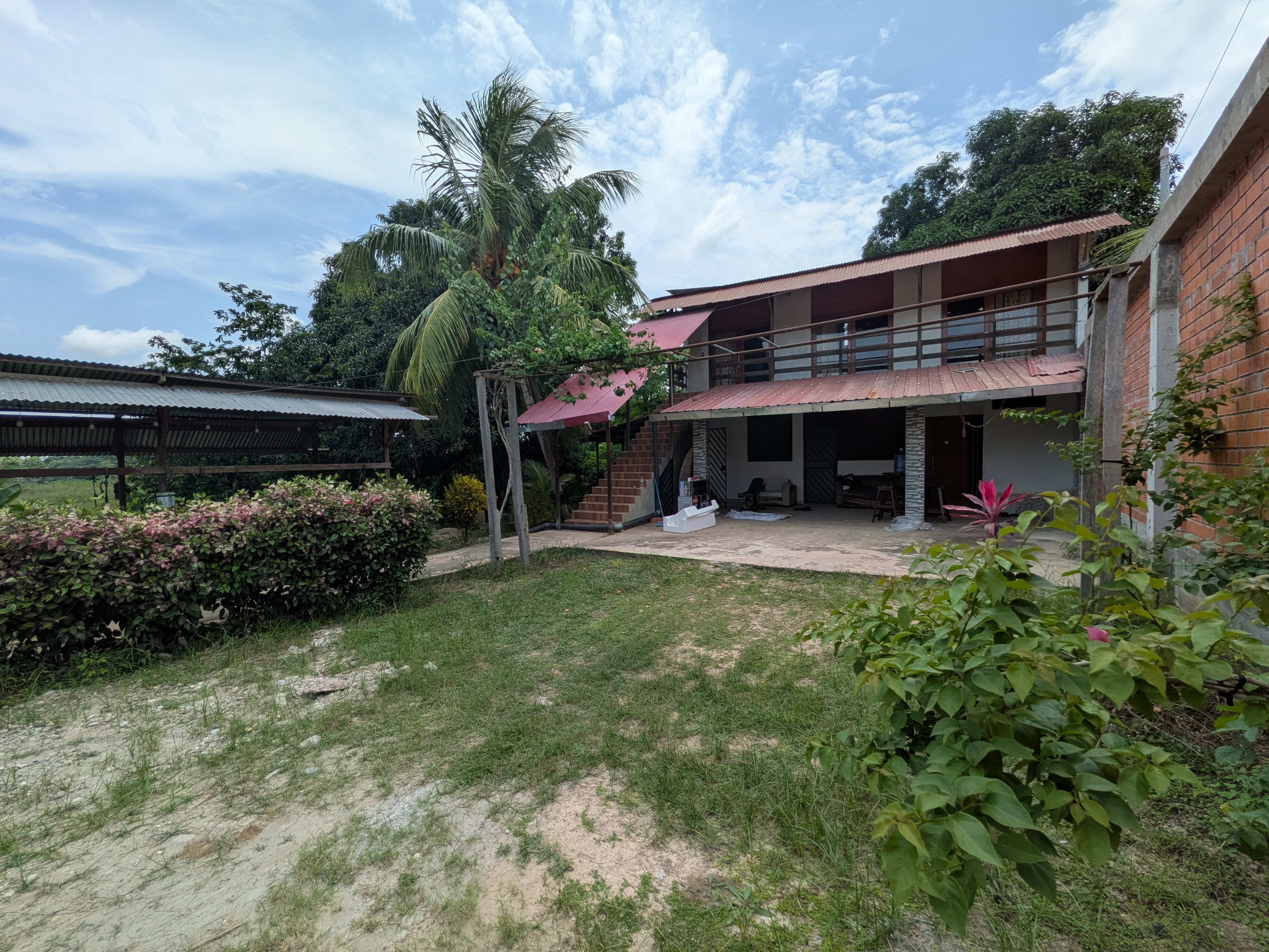 Florido Amazon hammock area