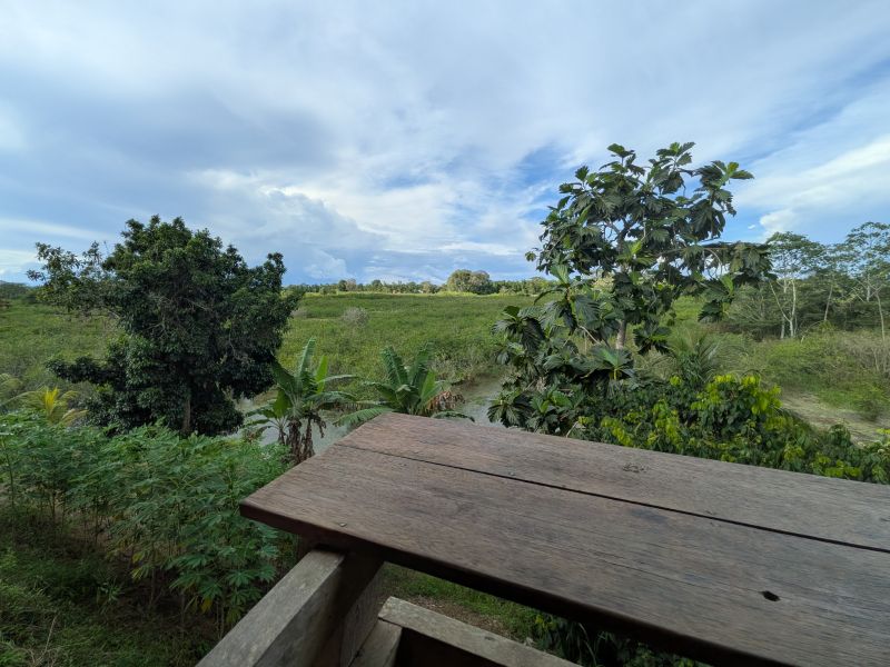 Long-Term Stay in Pucallpa, Peru