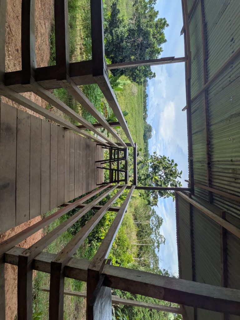 Food and daily life at Florido Amazon